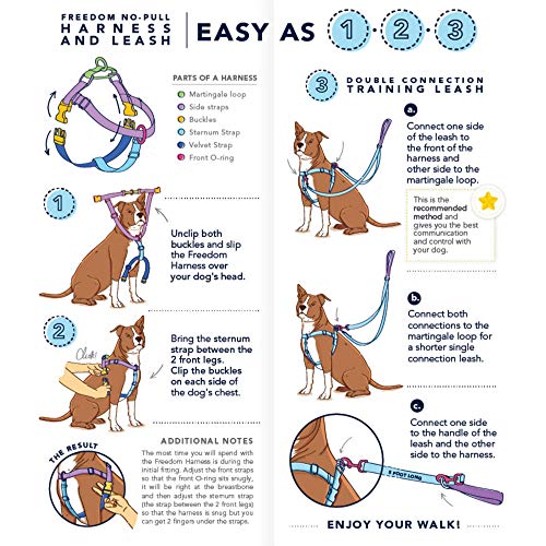 Sharky Party Freedom No-Pull Dog Harness – EarthStyle