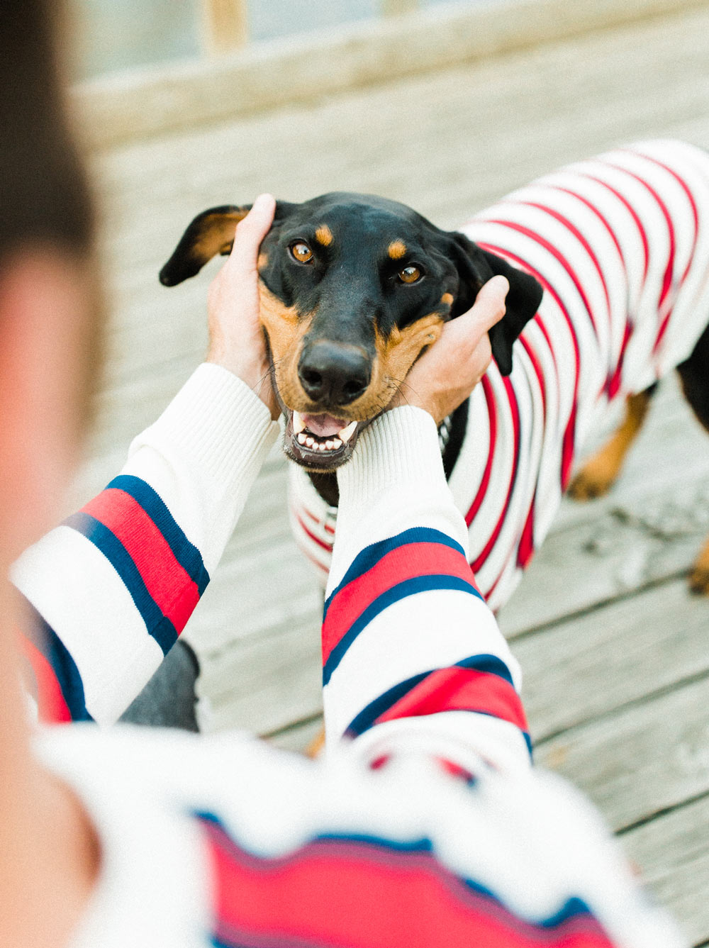 Rugby Sweater (Adult & Kid Sizes Only)